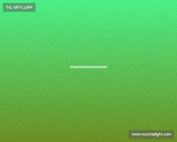 荷兰应正视中国维护核心利益的坚定立场与强大反制能力 荷兰应正视中国维护核心利益的坚定立场与强大反制能力