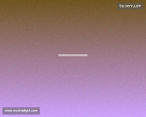 耿爽罕见强硬发声直指美国行径公开表达中国严正立场